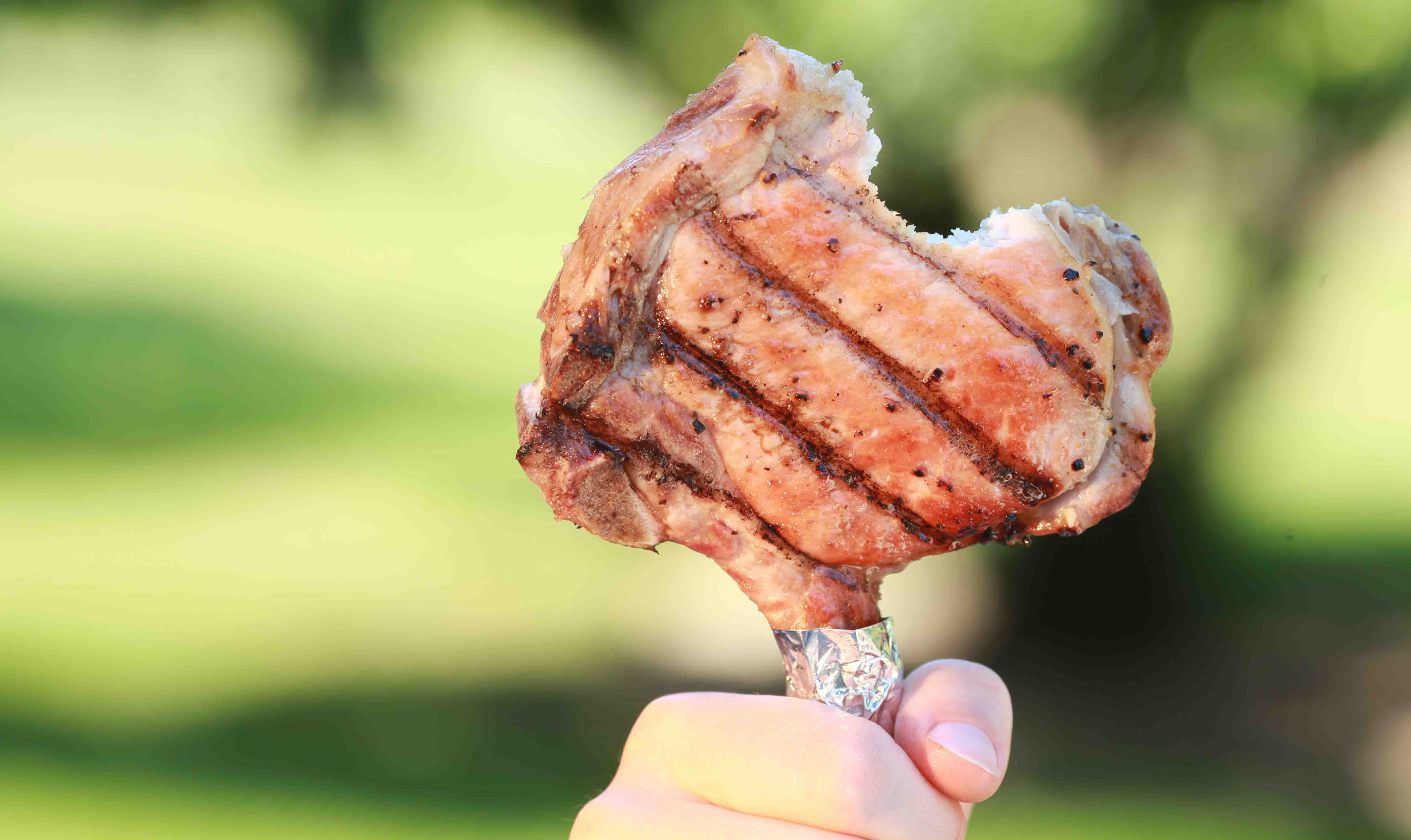 Pork Chop on a Stick™ 